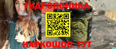 apvp Заволжье